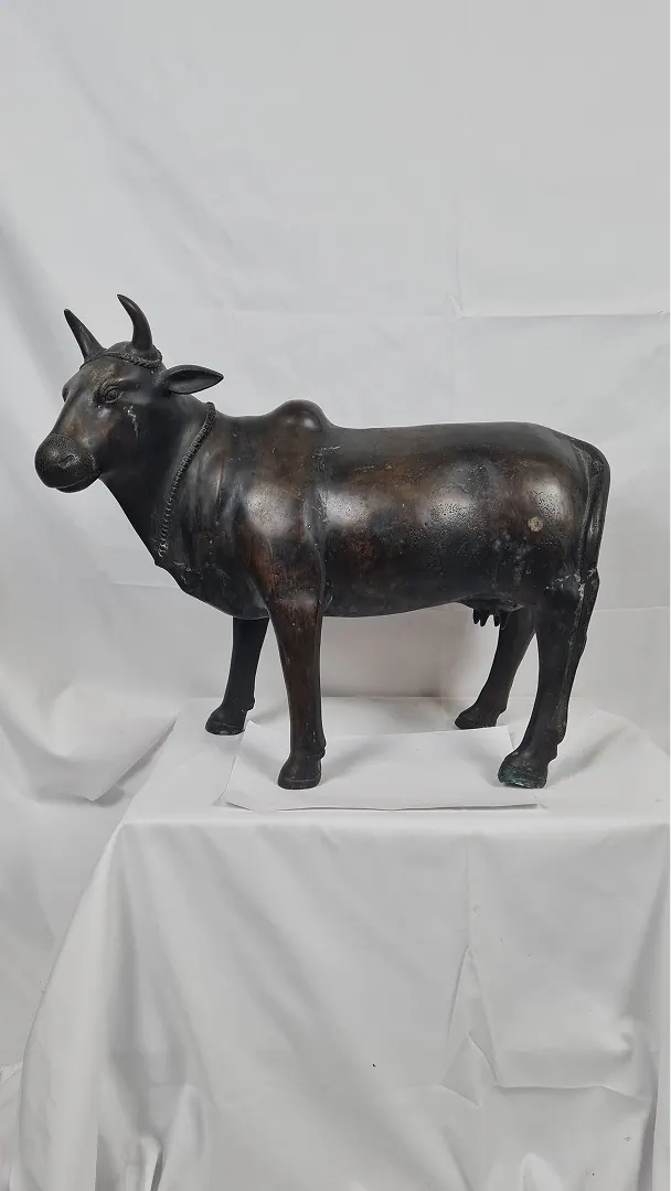 Vache sacrée Inde